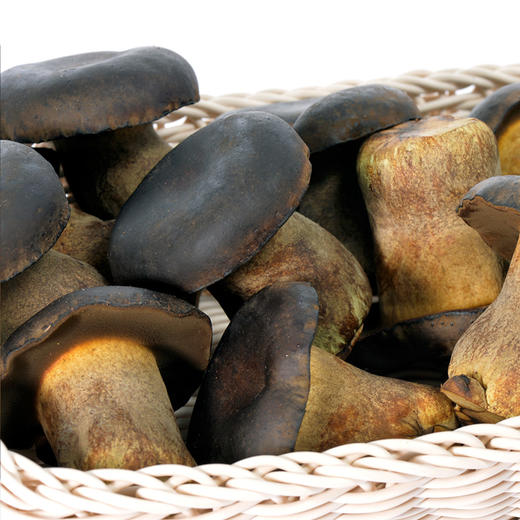 【新鲜有机  人工黑牛肝菌】  顺丰包邮   500g/1000g任选 商品图1