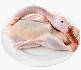 新鲜鸭肉（水鸭）