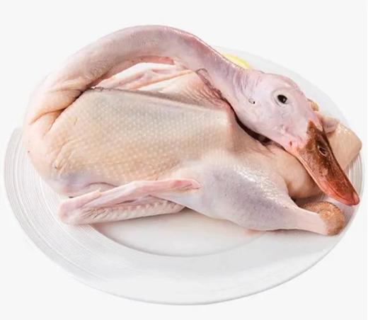 新鲜鸭肉（水鸭） 商品图0