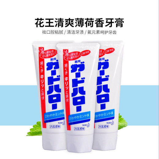 日本/花王酵素牙膏祛除口臭齿垢牙渍薄荷口味165g-会员5折 商品图2