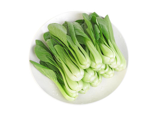 上海青 500g/份 201