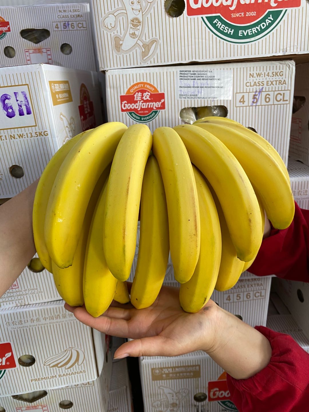 周四取货：【订金链接】菲律宾佳农进口香蕉，6元/斤，果肉柔软，清甜芬芳，预付订金10元 ，到店称重补差价。