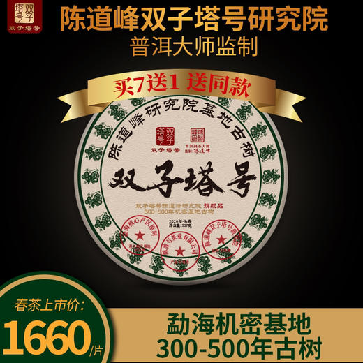 首款旗舰品陈道峰古茶基地 300-500年勐海核心机密产区 - 双子塔号