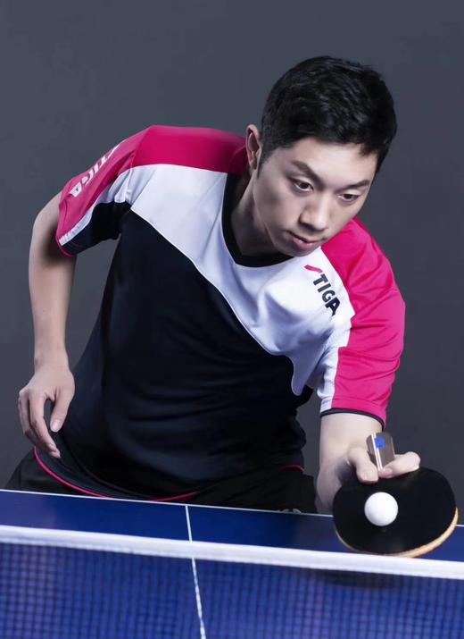 STIGA斯帝卡乒乓球服男女款乒乓球比赛服运动T恤短袖速干球衣斯蒂卡CA66191/51 商品图1