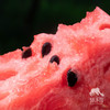 有机西瓜 | 绿家自产* Organic watermelon | Self-production 商品缩略图1