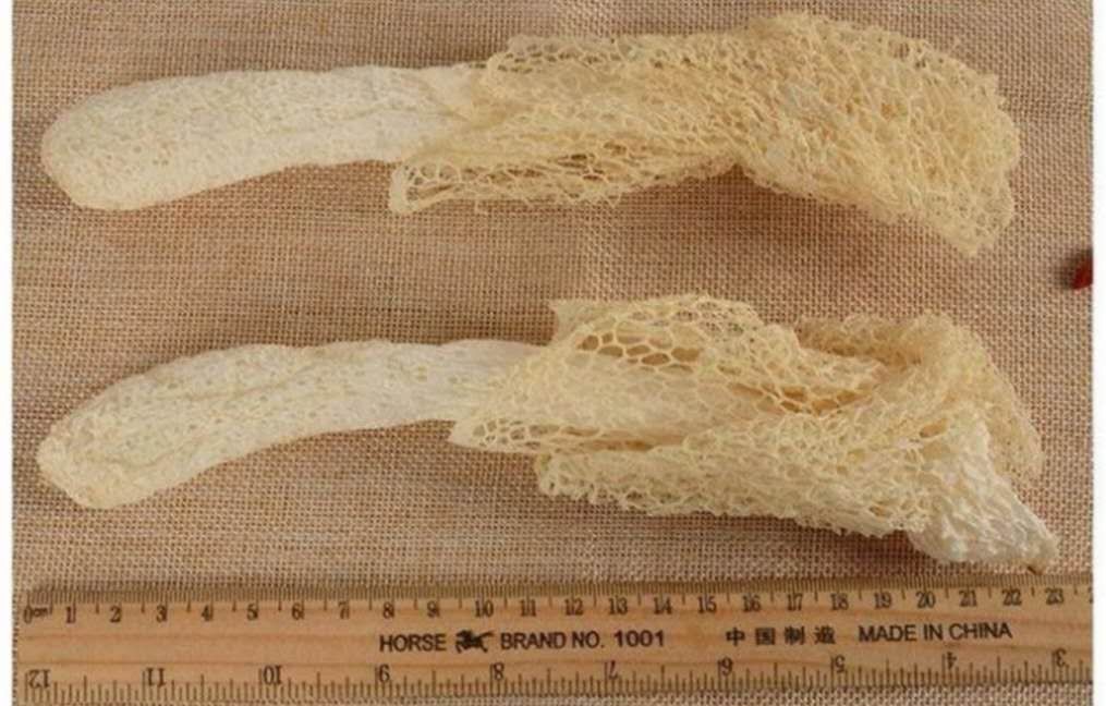 生态种植特级竹荪 50克