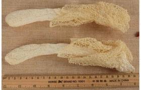 生态种植特级竹荪 50克