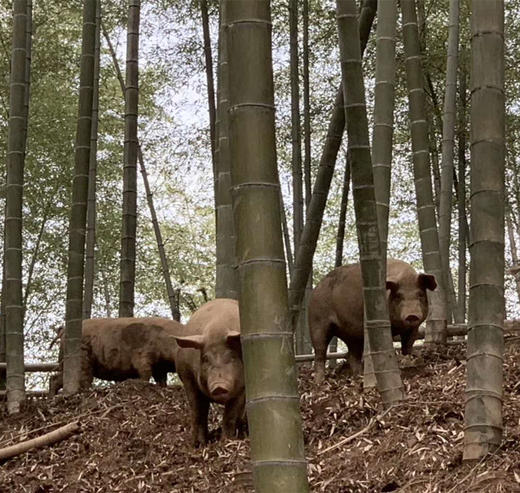 【预售】全精肉（300g） 商品图1