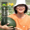 有机西瓜 | 绿家自产* Organic watermelon | Self-production 商品缩略图8