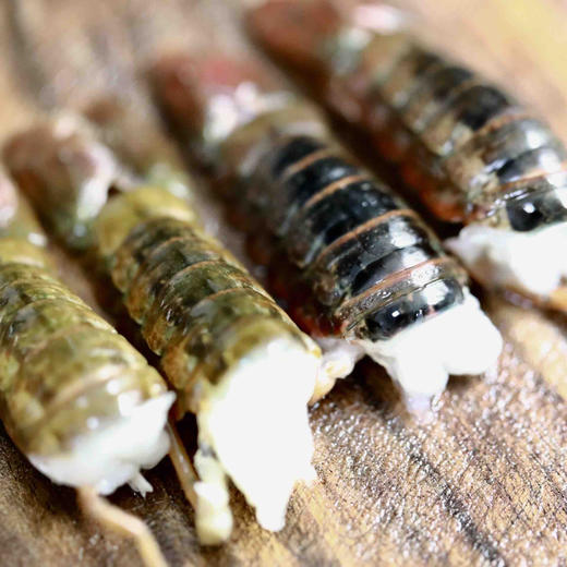 湖北洪湖 新鲜活虾现拨去虾线虾尾虾球2斤装顺丰包邮（非冷冻虾） 商品图3