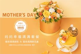 妈妈幸福满满套餐（剩余250套）