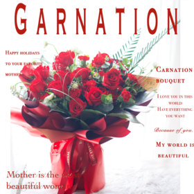 《惜时》.中国红花束