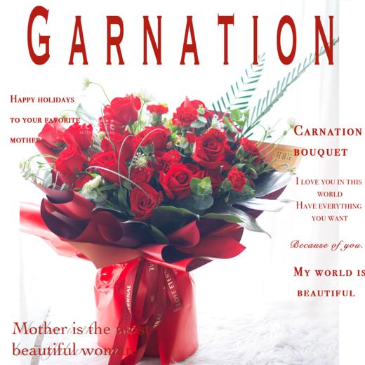 《惜时》.中国红花束 商品图0