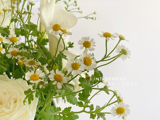 【我们结婚吧】马蹄莲9支 白色系玫瑰5支 洋甘菊4支（夏木设计） 商品图4