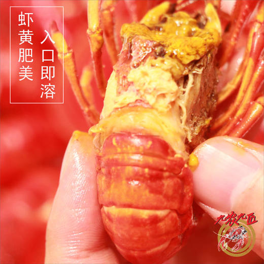 【3盒共2100克】九农九匠麻辣小龙虾 700克*3盒 商品图0