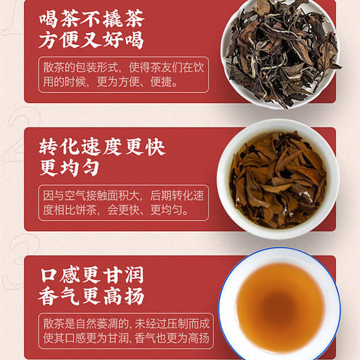 茶叶 福鼎白茶 老白茶 寿眉散茶 3年老寿眉 茶饮  五虎 350g 商品图1