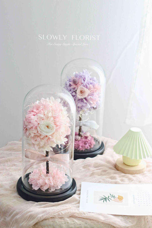 幸福树永生花（带灯） 商品图8