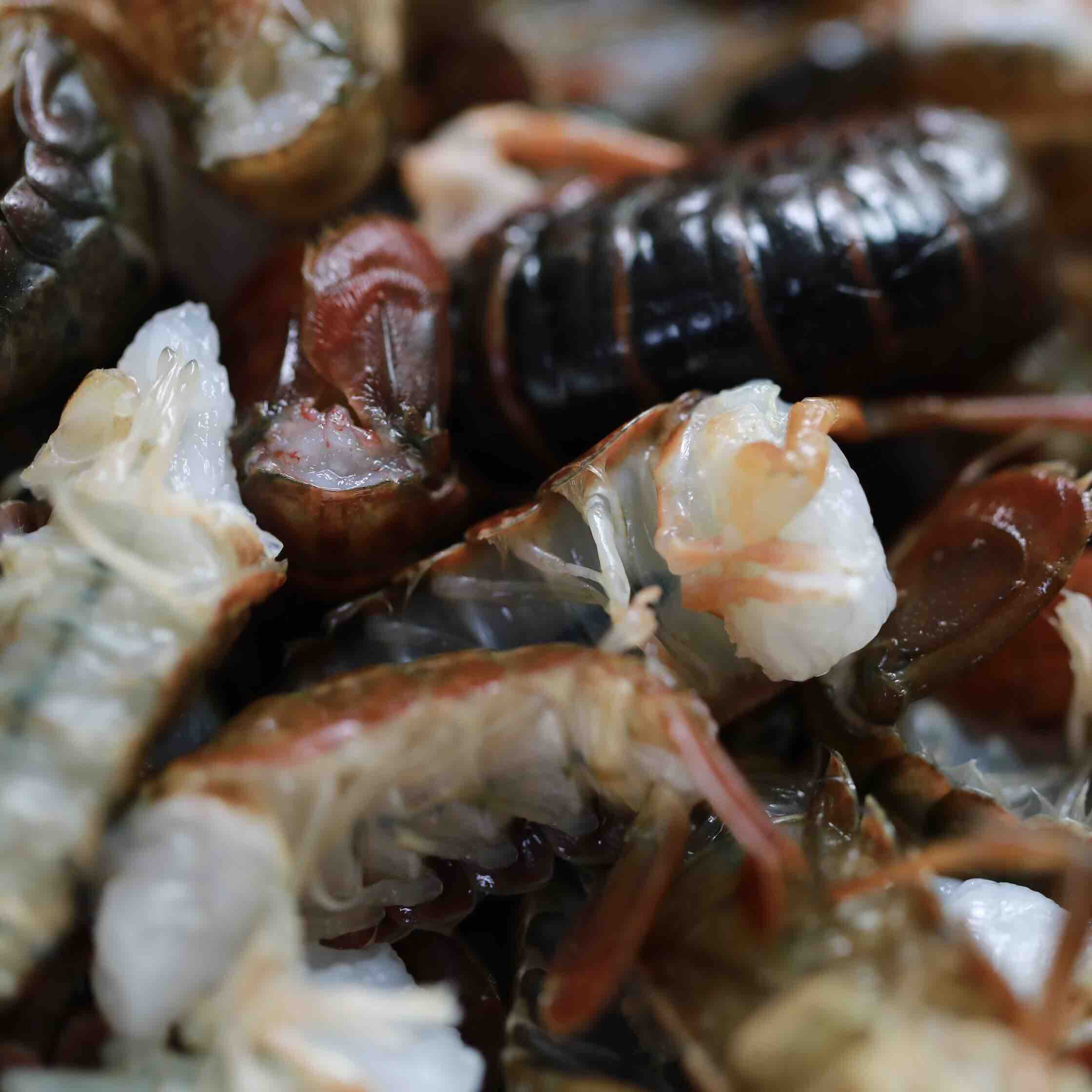 湖北洪湖 新鲜活虾现拨去虾线虾尾虾球2斤装顺丰包邮（非冷冻虾）