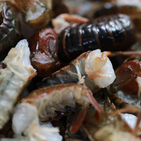 湖北洪湖 新鲜活虾现拨去虾线虾尾虾球2斤装顺丰包邮（非冷冻虾）