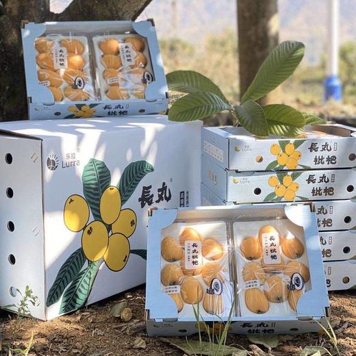出口级四川高山米易长丸枇杷2盒箱约14斤出口级纯甜无酸