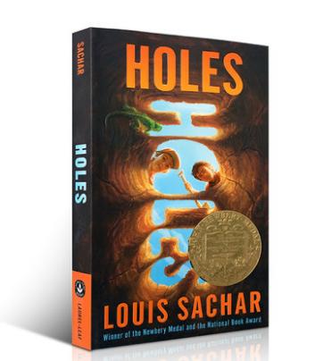 【送音频】英文原版小说 Holes 别有洞天 1999年纽伯瑞金奖 原著小说 Louis Sachar 少年儿童文学故事书 获奖图书 正版进口书籍 商品图0