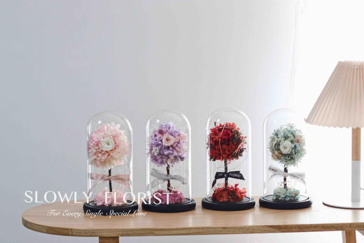 幸福树永生花（带灯） 商品图6