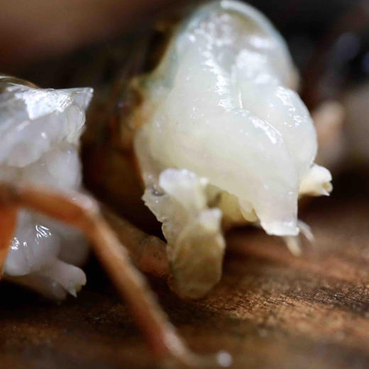 湖北洪湖 新鲜活虾现拨去虾线虾尾虾球2斤装顺丰包邮（非冷冻虾） 商品图2
