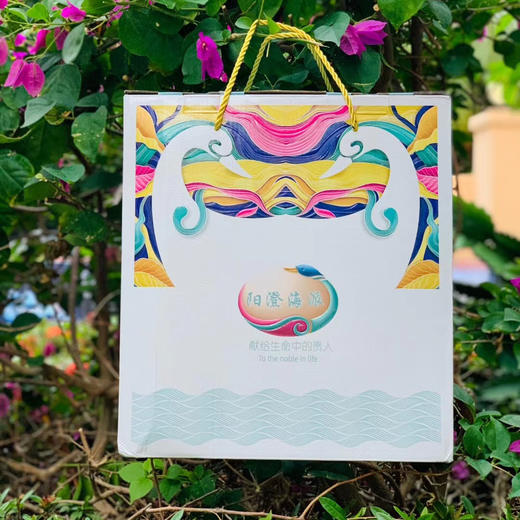 阳澄湖原生态烤鸭蛋 30枚 商品图14