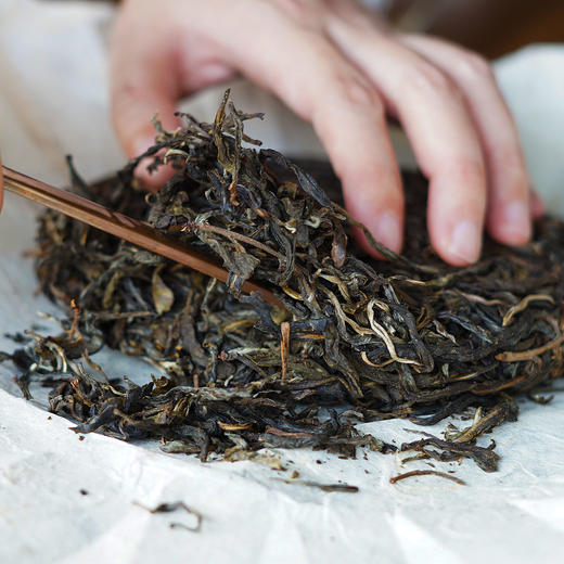 永德梅子箐纯料普洱生茶 2021春 商品图4