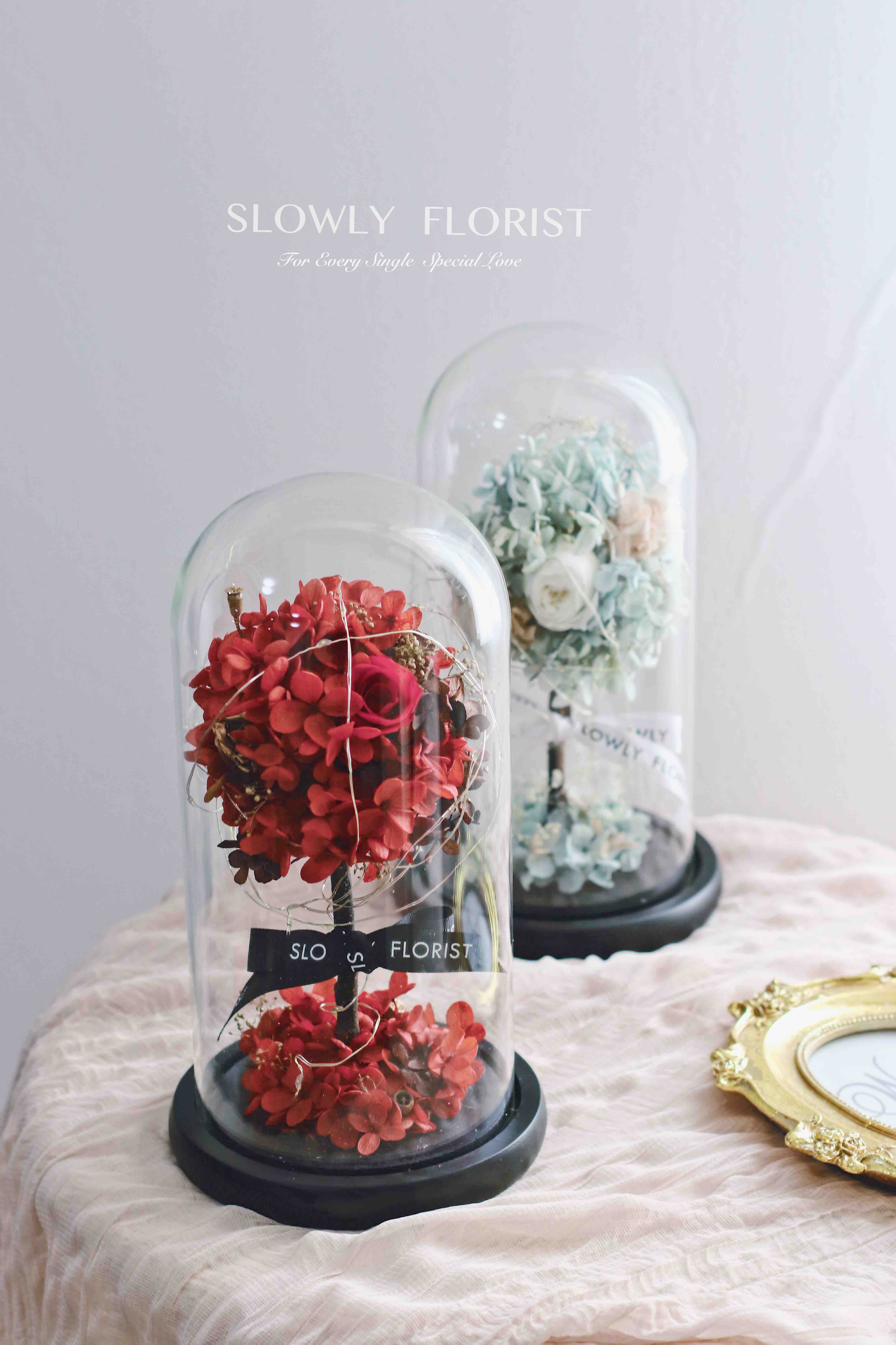 幸福树永生花（带灯）