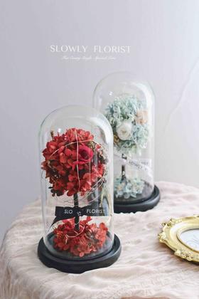 幸福树永生花（带灯）