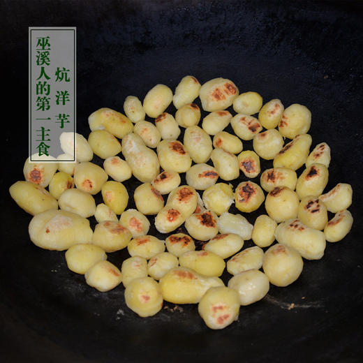 巫溪洋芋 新土豆上市