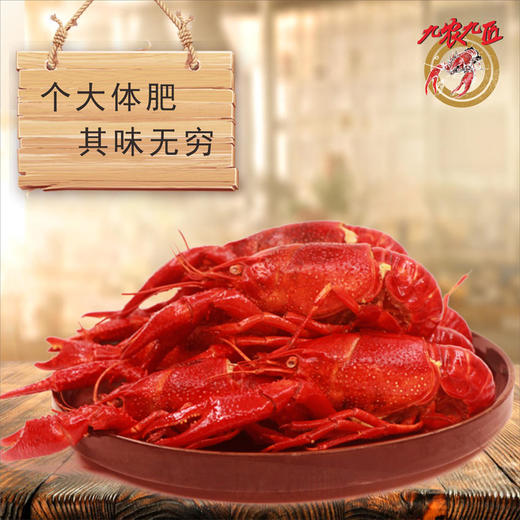 【3盒共2100克】九农九匠麻辣小龙虾 700克*3盒 商品图2