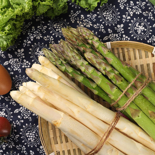 山东特产农家新鲜白绿芦笋2600g2800g份