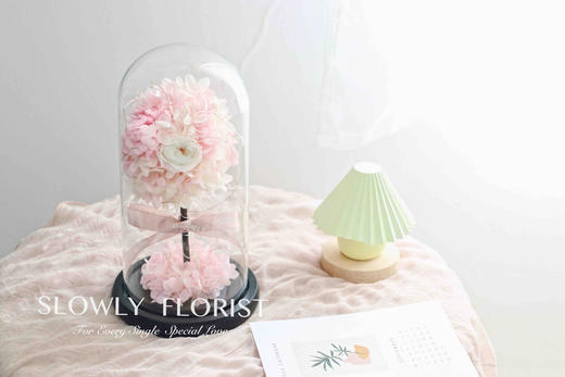 幸福树永生花（带灯） 商品图7
