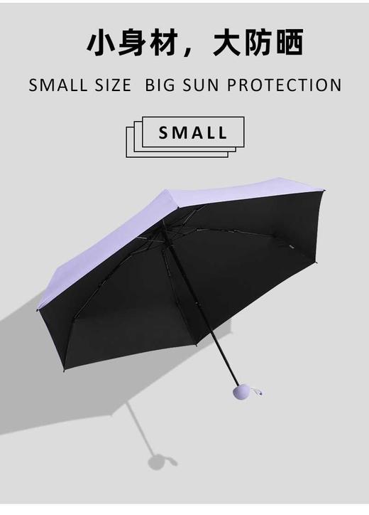 现货 SS焦点胶囊伞，宁波发货（正常地区包邮） 商品图2