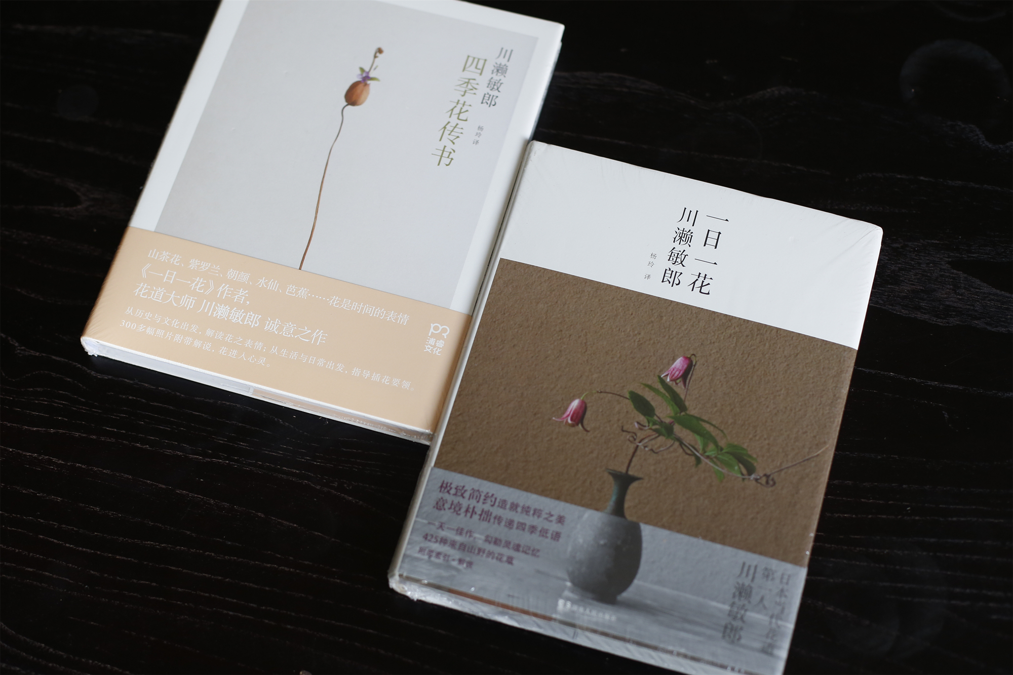 花道经典两册 一日一花 四季花传书