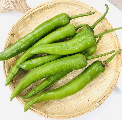 本地小青椒约400g