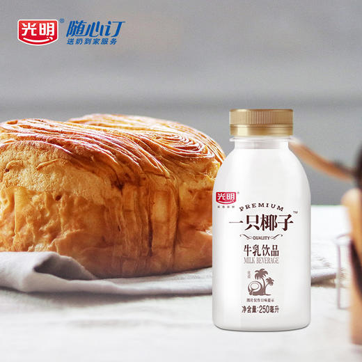 同城快送光明一只椰子牛乳饮品饮料低温早餐牛奶250ml12瓶
