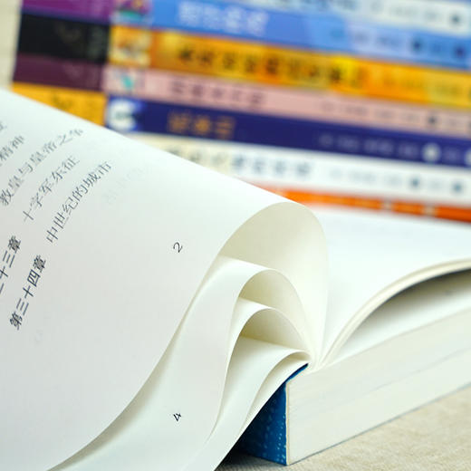 纽伯瑞儿童文学奖全套12册 国际大奖小说系列 人类的故事 胡桃木小姐 小学生三四五六年级课外阅读必读书籍 文学 经典金奖图书房龙 商品图4