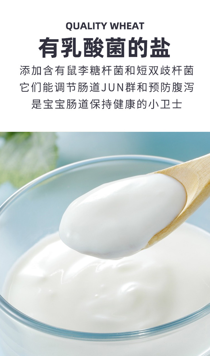 ohsaucy乳酸菌蔬菜调味盐100g