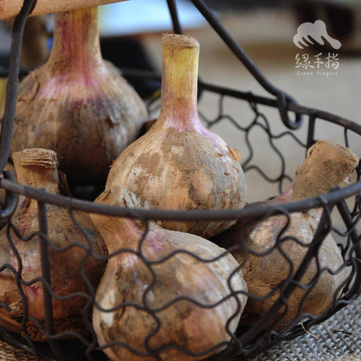 生态鲜蒜 | 合作生产*Eco-fresh garlic | Coproduction 商品图1