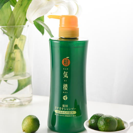 麒麟堂×柑气楼精油滋养洗发露500g 商品图0