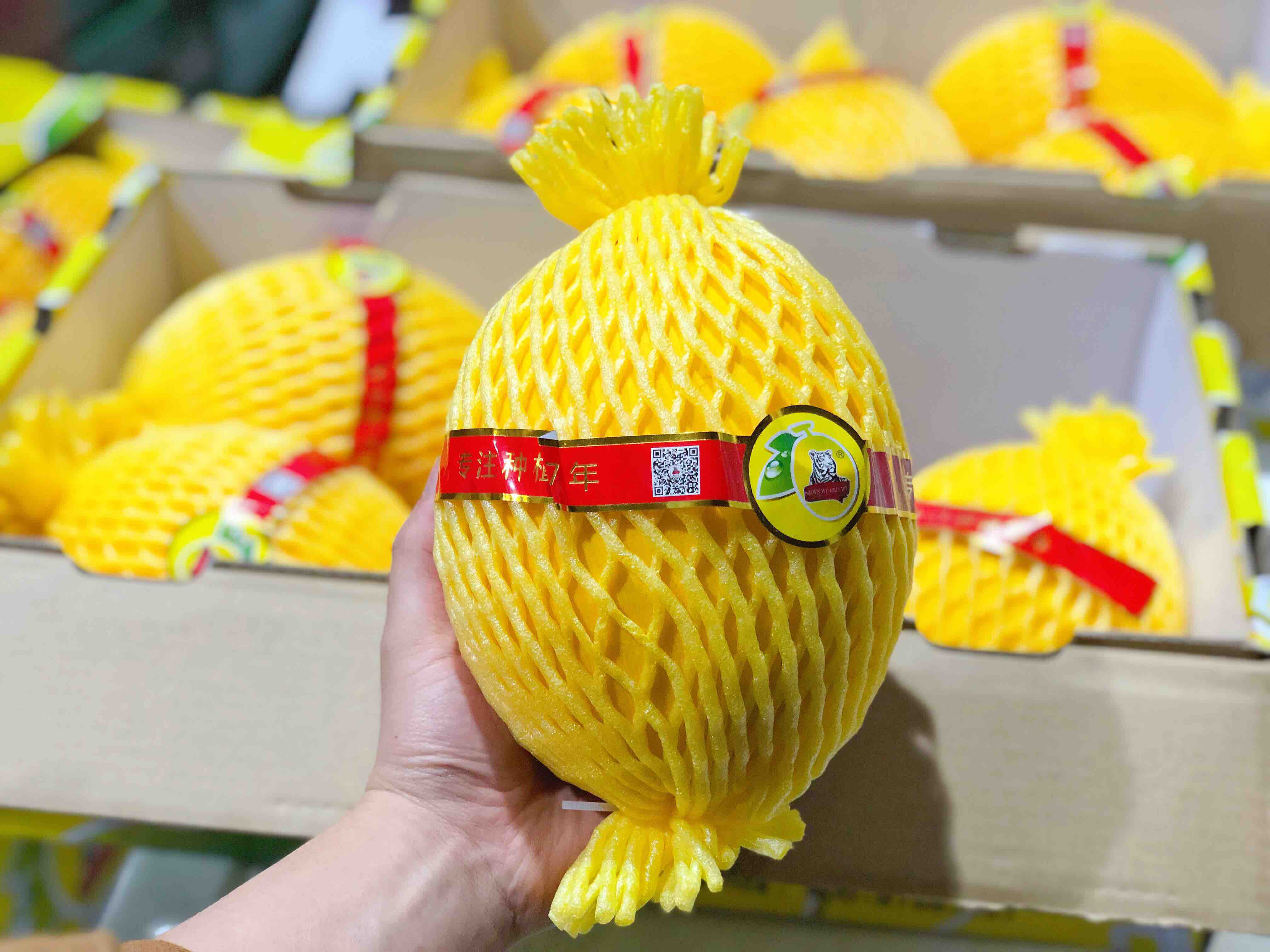 王品蜜瓜海南王品蜜瓜蜜蜂自然授粉绿色有机种植甜蜜诱人瓜香浓郁