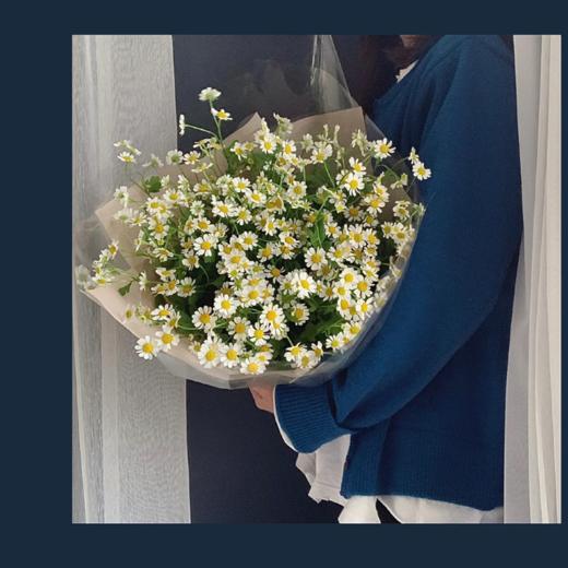 网红洋甘菊花束 商品图0