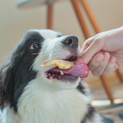 尾巴先生犬猫冻干鹌鹑 商品图3