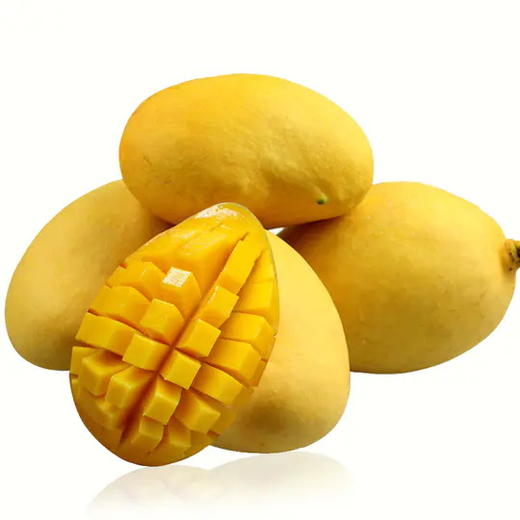 缅甸进口圣德龙芒果 缅甸小鸡芒 精选果5斤装