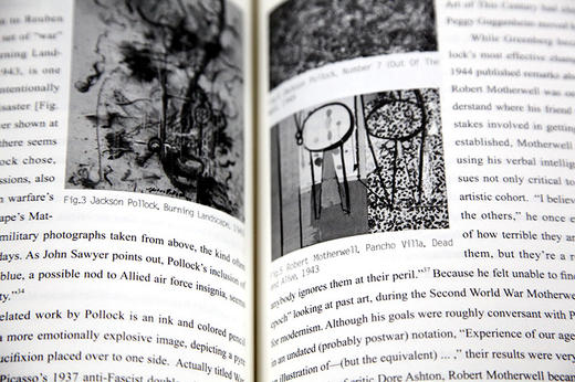 《艺术：生活或观念 交互视野下的中国和美国的现代艺术》定价：128 张坚 布鲁斯·罗伯森 主编 中国美术学院  满58包邮--中国美术学院出版社欢迎您！ 商品图1