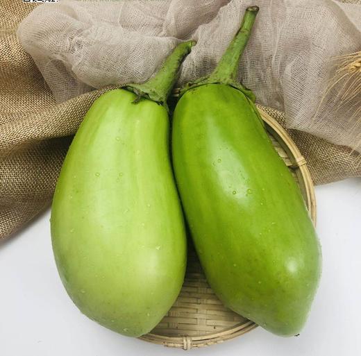 青茄子62元每斤