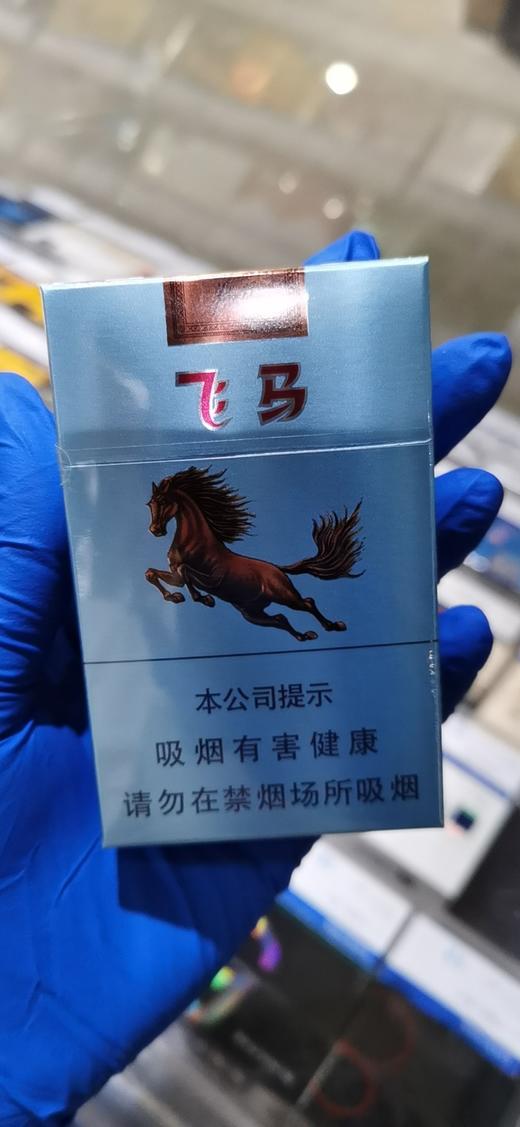 牡丹(飞马) 商品图0